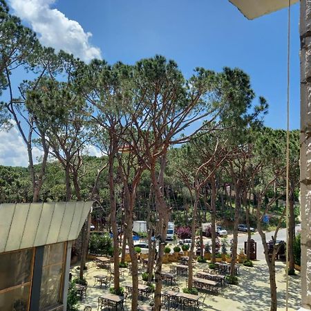 Colibri Hotel Броумана Экстерьер фото